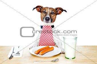 dinner meal at table dog 