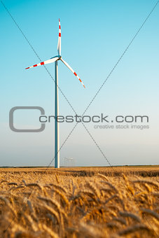 wind power plant in wheat grain field