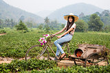 Thai girl on the strawberry field