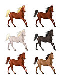 Horses in different colors.