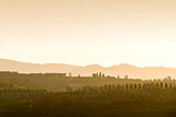 Tuscany Landscape at sunset
