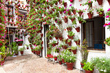 Spring Flowers Decoration of Old House Patio, Cordoba, Spain