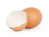 hen egg with eggshell