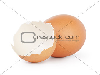 hen egg with eggshell