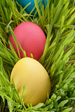 Easter eggs hidden in grass