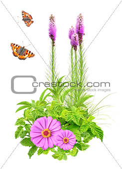 Summer flowers, green leaves and butterfly