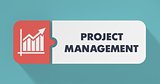 Project Management Concept in Flat Design.