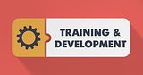 Training and Development Concept in Flat Design.