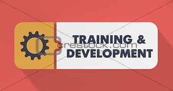 Training and Development Concept in Flat Design.