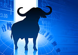 bull on blue business background