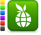 green globe icon on square internet button