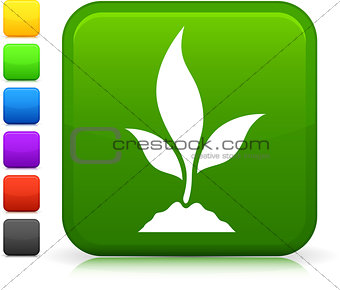 young plant icon on square internet button