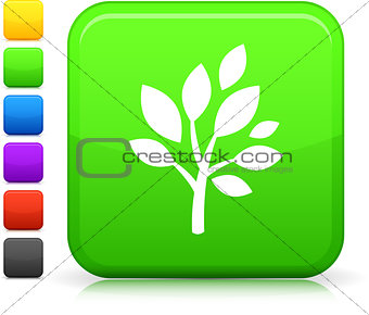 tree icon on square internet button