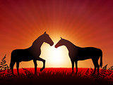 Horses on Sunset Background