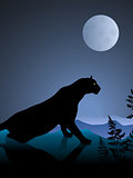 Lion on Night Background with Moon
