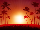 Tropical Sunset Background 