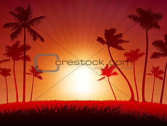 Tropical Sunset Background 