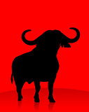 Bull on red Bakcground