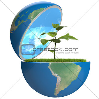 Plant inside planet