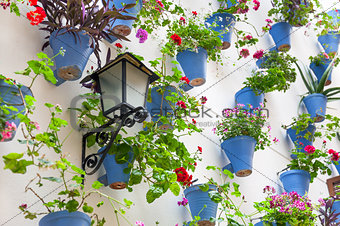Blue Flowerpots and Flowers on a white wall with vintage lantern