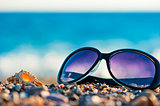 sunglasses and shells on the beach