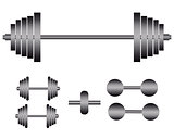 barbells and dumbbells for exercise