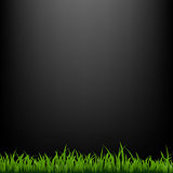 Black Background With Grass