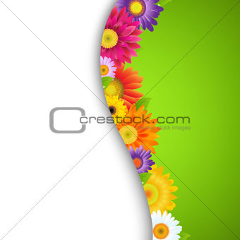 Colorful Gerbers Flower Border