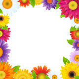 Colorful Gerbers Flower Frame