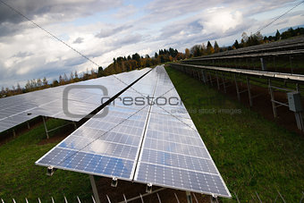Large Bank Amorphous Solar Panels Green Renewable Energy Sun Pow