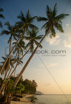 Beautiful tropical beach in the evening 