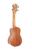 Back view of ukulele guitar 