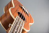 Close-up shot of ukulele guitar 
