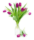 violet tulips bouquet