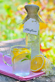 Elderflower and lemon juice 