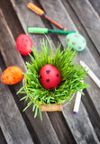 Colorful painted Easter egg on a fresh green grass