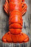  Lobster tail