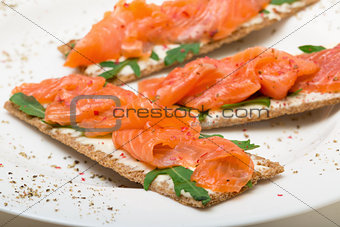Salted salmon on crispy bread with cheese and arugula
