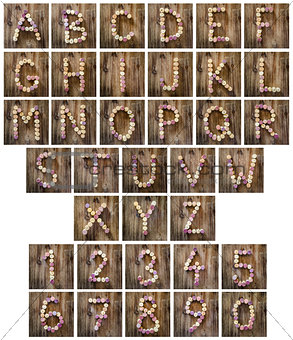 Alphabet letters and numbers made from wine corks