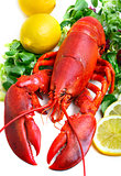  boiled lobster