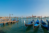 Venice Italy pittoresque view of gondolas 