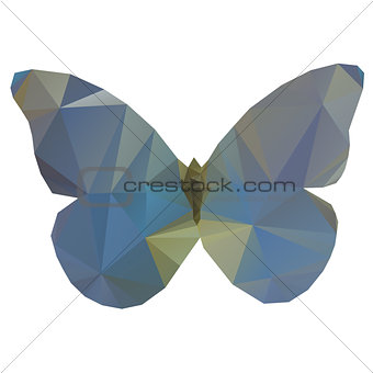 Triangle butterfly