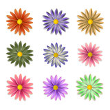 flowers of different colors