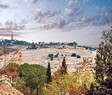 View from the Jerusalem on the Mountain of Olives . Israel