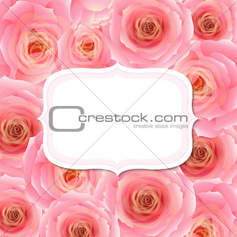 Label With Pink Rose 