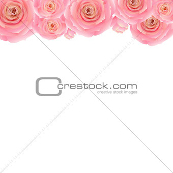 Pastel Pink Rose Border