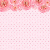 Pink Rose Background 