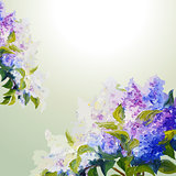 Lilac flowers background.