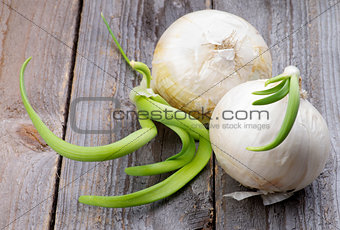 Two Sprouted Onions
