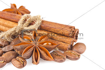 Star anise with cinnamon and coffee seed
